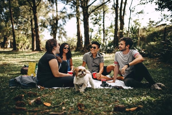group of people sitting and talking